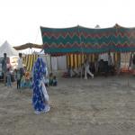 Vraj-Yatra-2014- (576)